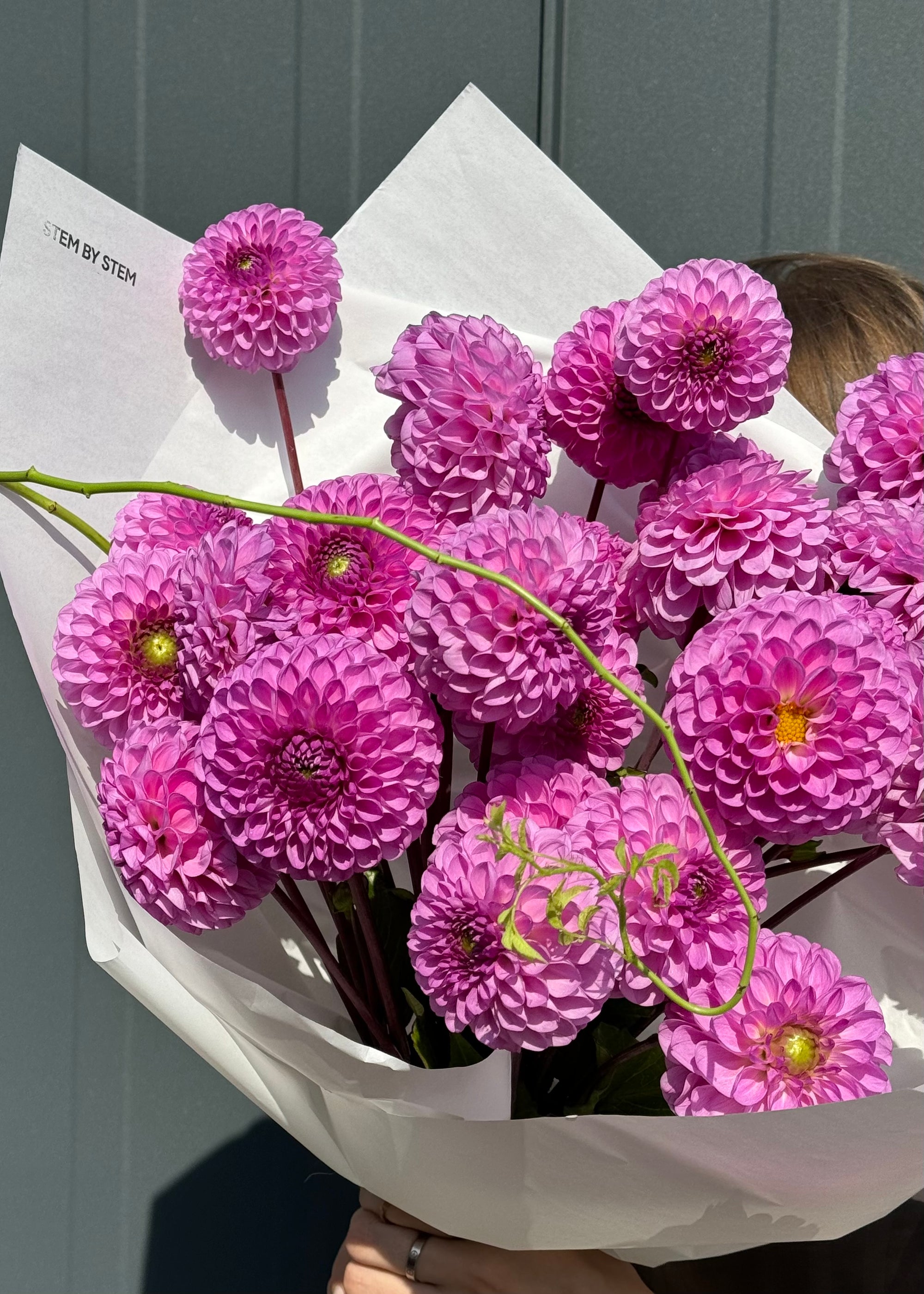 Mono bouquet|dahlias pink