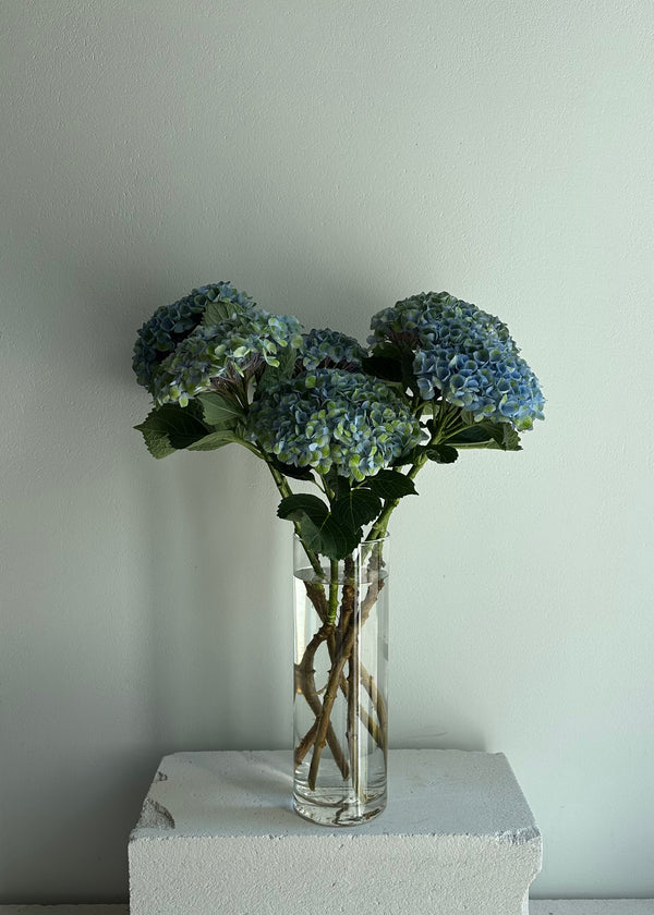 Mono | hydrangeas pink