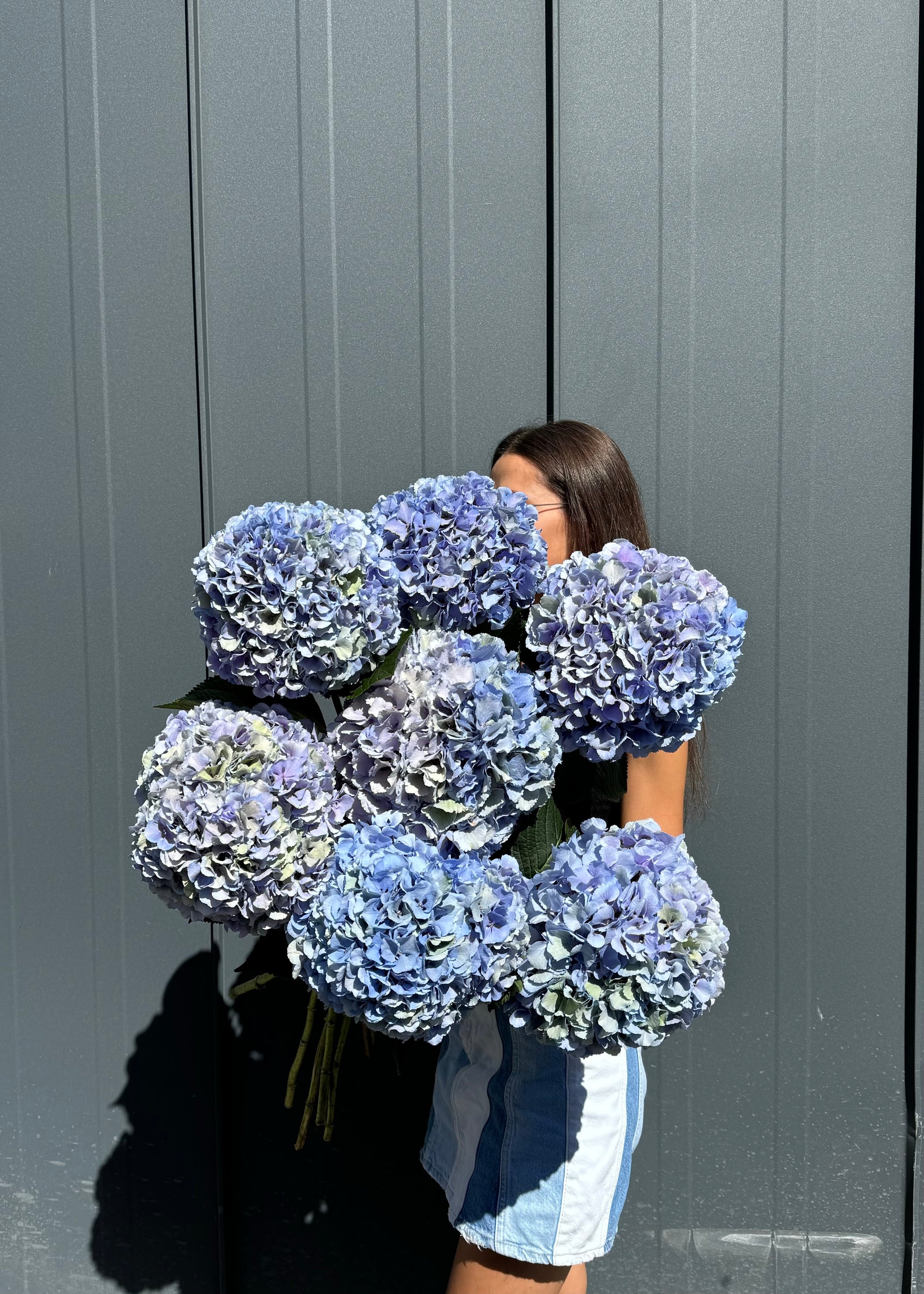 Mono bouquet|hydrangeas blue