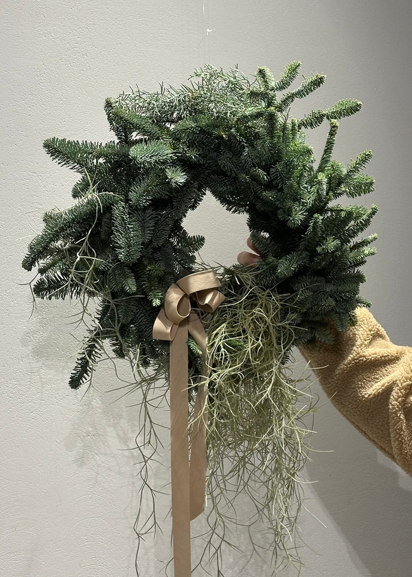 Christmas Wreath | Beige ribbon and tillandsia