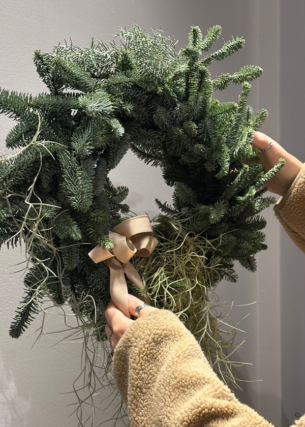 Christmas Wreath | Beige ribbon and tillandsia