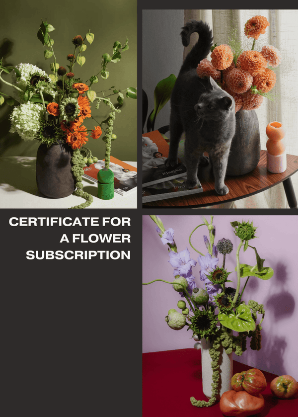 Certificate for a flower subscription - Stem By Stem