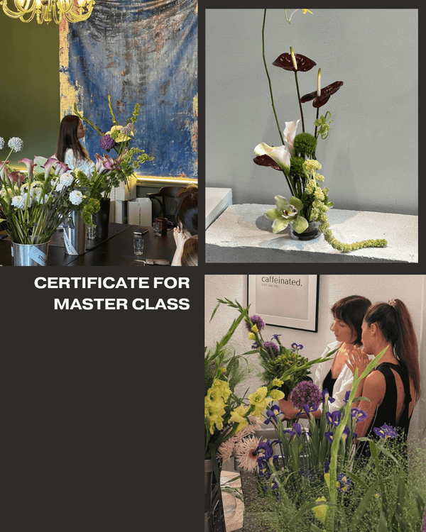 Gift Certificate for a Stem by Stem Master Class - Stem By Stem