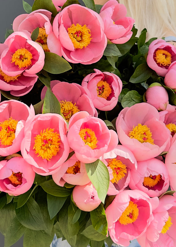 Mono peonies - Stem By Stem
