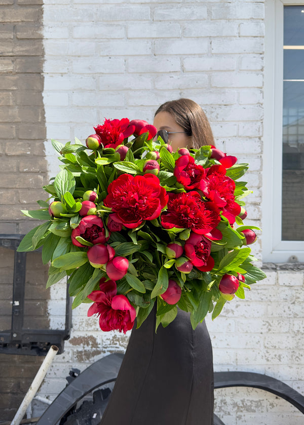 Mono | Red peonies - Stem By Stem
