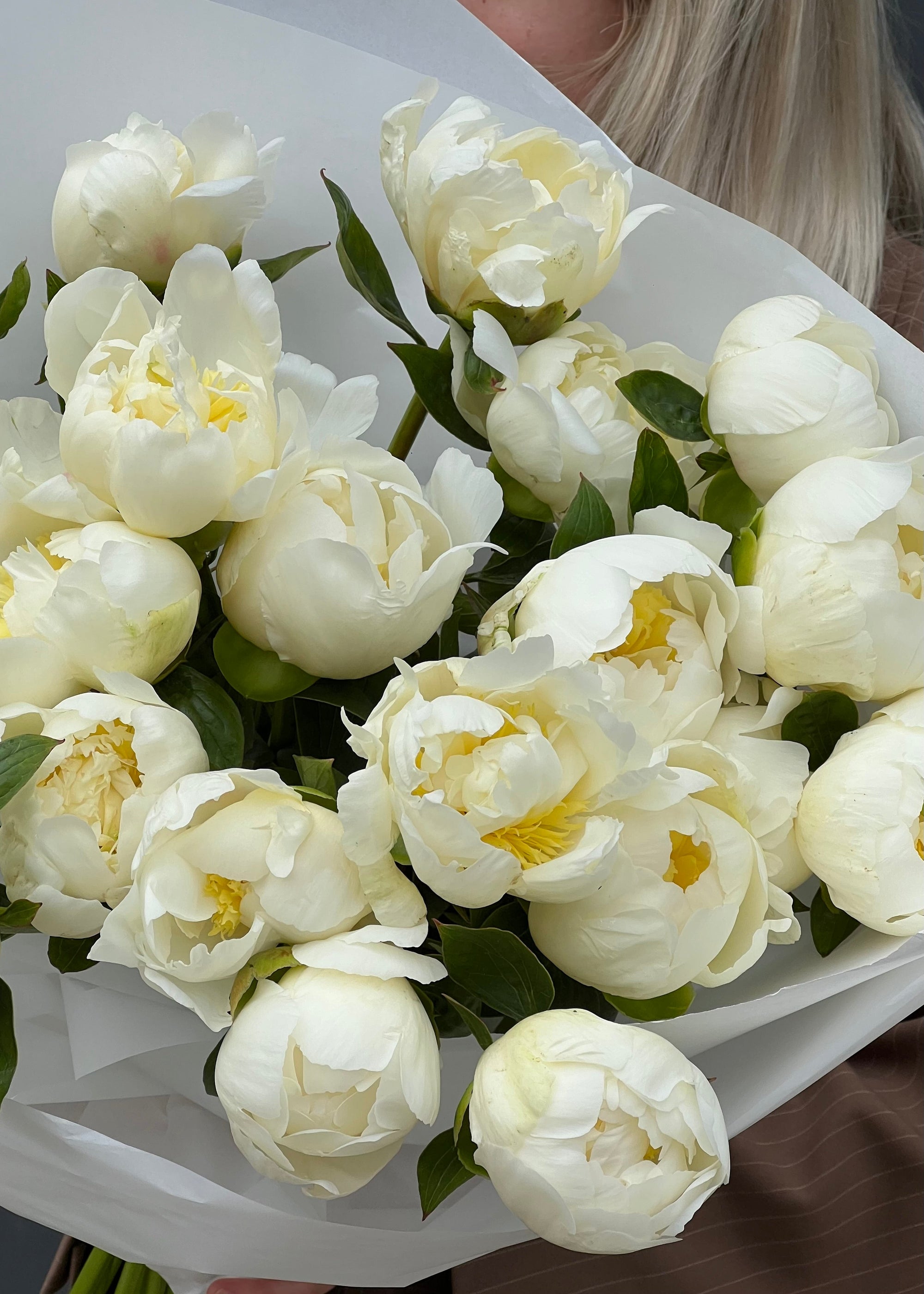 Mono | white peonies - Stem By Stem