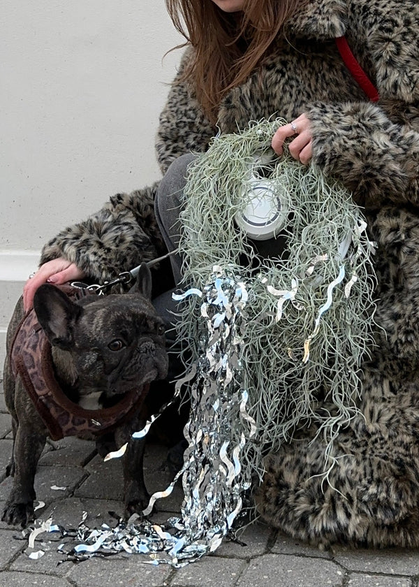 Tillandsia wreath - Stem By Stem