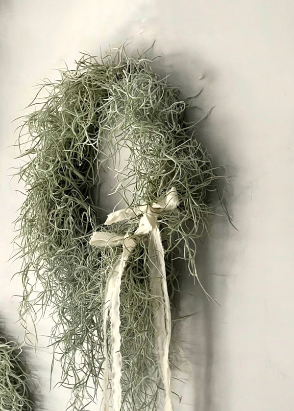 Tillandsia wreath - Stem By Stem